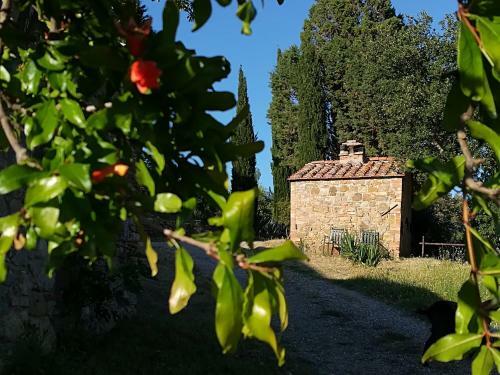 Agroturismo Agriturismo Il Riguardino