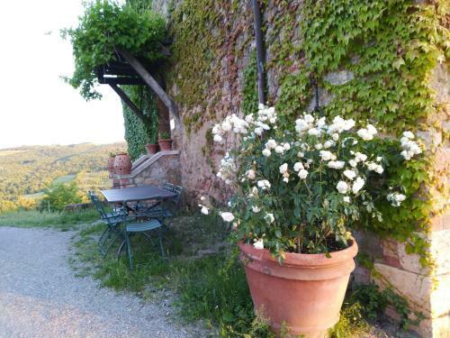 Agroturismo Agriturismo Il Riguardino