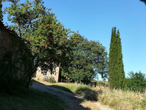 Agroturismo Agriturismo Il Riguardino