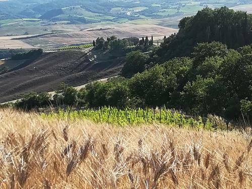 Agroturismo Agriturismo Il Riguardino