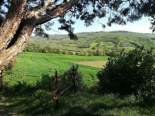 Agroturismo Agriturismo Il Riguardino
