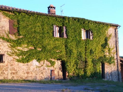 Agroturismo Agriturismo Il Riguardino
