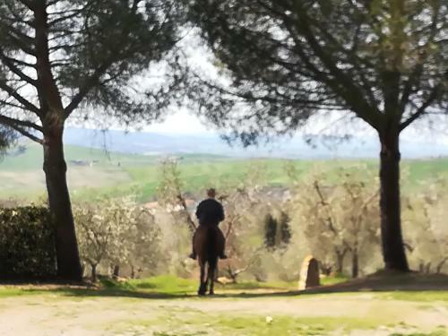 Agroturismo Agriturismo Il Riguardino