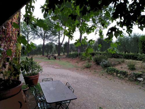 Agroturismo Agriturismo Il Riguardino