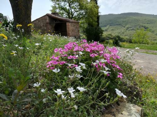 Agroturismo Agriturismo Il Riguardino