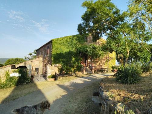 Agroturismo Agriturismo Il Riguardino