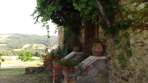 Agroturismo Agriturismo Il Riguardino