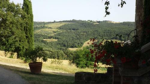 Agroturismo Agriturismo Il Riguardino