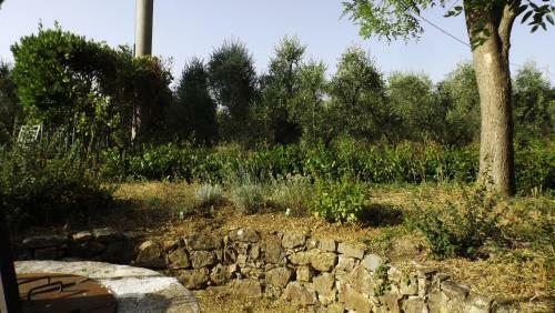 Agroturismo Agriturismo Il Riguardino