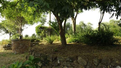 Agroturismo Agriturismo Il Riguardino