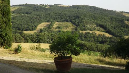 Agroturismo Agriturismo Il Riguardino
