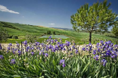 San Quirico D'orcia Apartment Sleeps 8 Pool Wifi