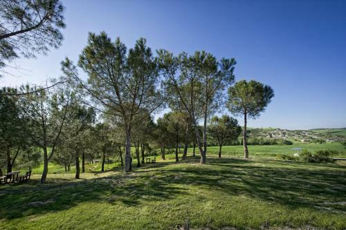 San Quirico D'orcia Apartment Sleeps 6 Pool Wifi