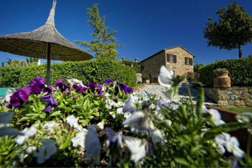 San Quirico D'orcia Apartment Sleeps 6 Pool Wifi
