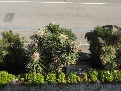 Hotel Parco