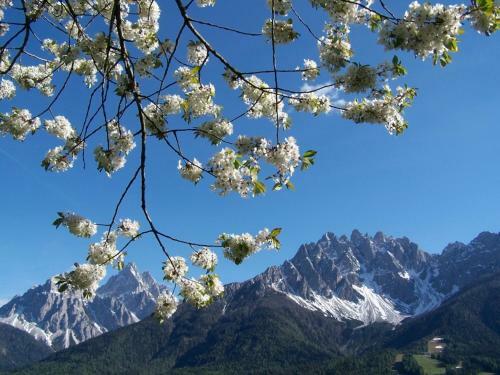 Agroturismo Bio Ranerhof