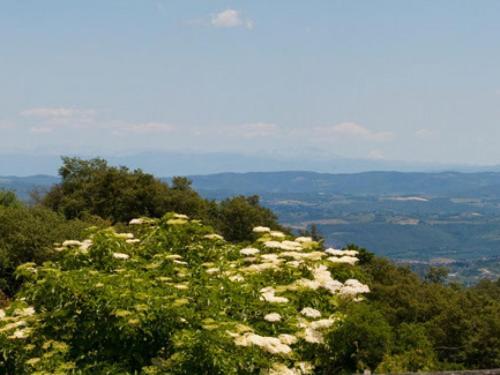 San Casciano Dei Bagni Villa Sleeps 12 Pool Wifi