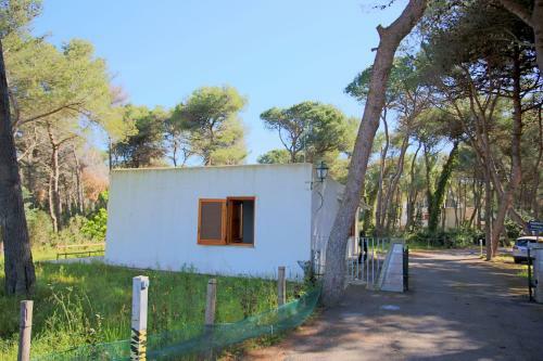 Casa Vacanze L'eden