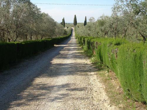 Agroturismo Agriturismo La Papessa