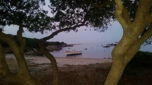Apartamento Fantastico Porto Ottiolu Gr3
