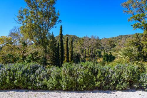 Villa Podere I Cavalieri