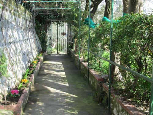 Bed & Breakfast L'uliveto