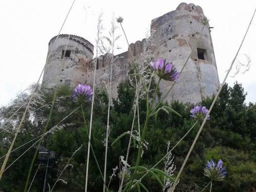 Bed & Breakfast Castello Di Praia