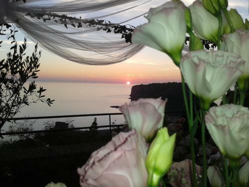 Bed & Breakfast Castello Di Praia