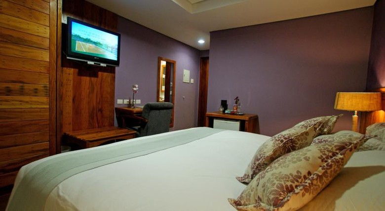 Hotel Dotto Chateau