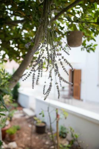 Bed & Breakfast Giardino Segreto