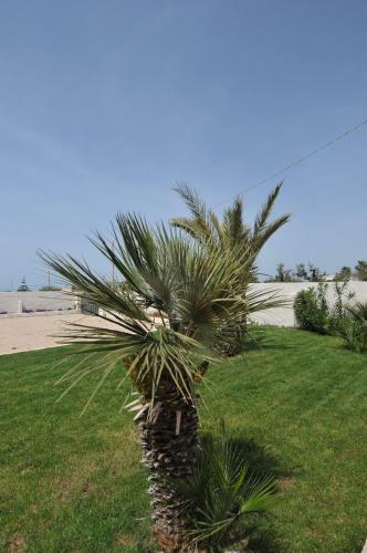 Bed & Breakfast Luna Rossa