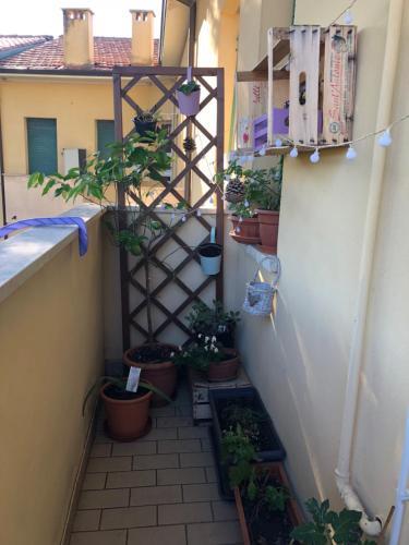 Hostal La Casa Dei Regazz