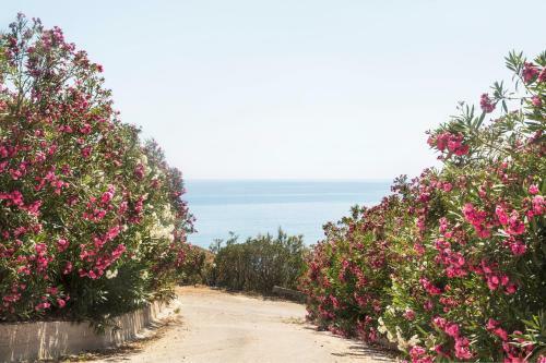B&B Monterosso