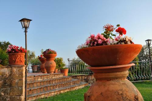 Agroturismo Tenuta L'oasi