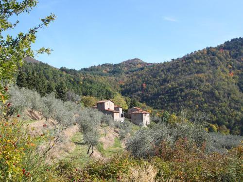 Apartamentos Locazione Turistica Madonna