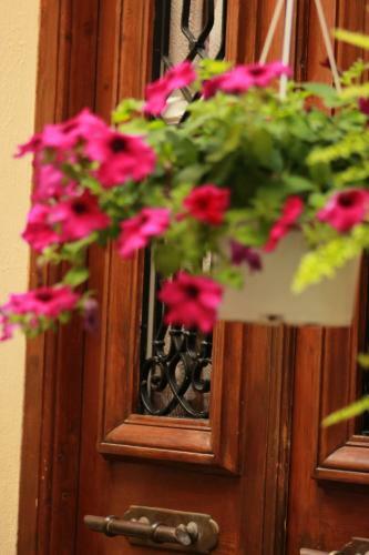 Hotel Filyra