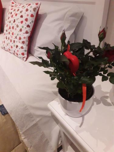 Reggiolacitt�invisibile B&B