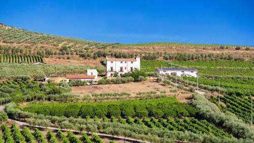 Agroturismo Tenute Piazza Countryhouse