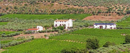 Agroturismo Tenute Piazza Countryhouse