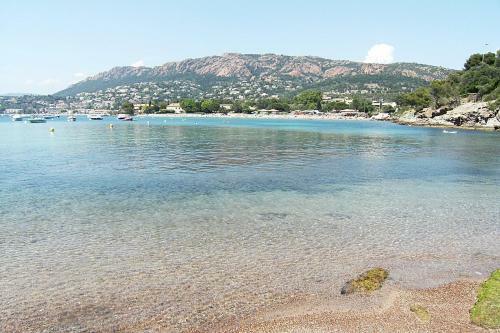 Apartamento Cap Est�rel Vacances - Studio Mer G2 Terrasse Couverte - 256la
