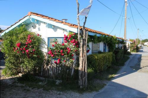 Maison 4 Chambres Pr�s Du Port Ostr�icole
