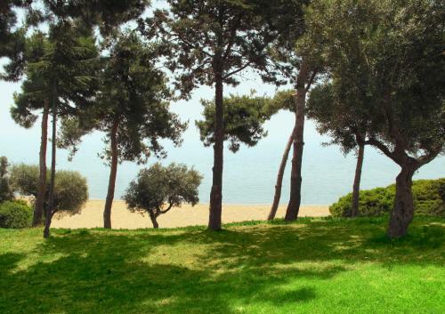 Hotel Trikorfo Beach