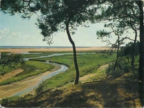 House Maison De Vacances T4, Dans Quartier D'angles
