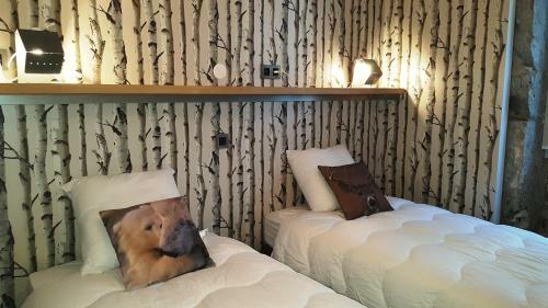 Apartamentos Lofts And Lakes Premium