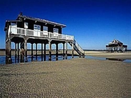 Apartment Proche Plage D'eyrac - 2 Chambres