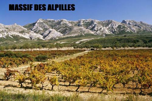 Farma - Maison De Ville Climatis�e Avec Patio