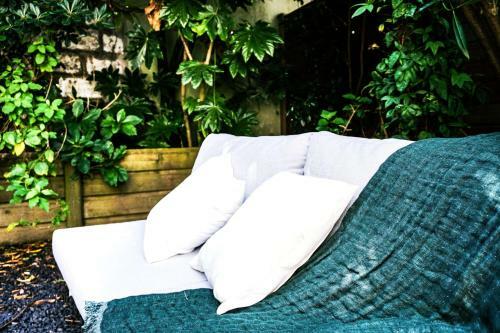 Cocoon