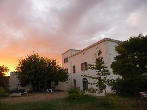 Bed & Breakfast A Loghja Di Cavallo Morto