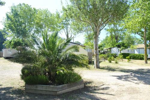 Camping La Dune