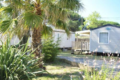 Camping La Dune